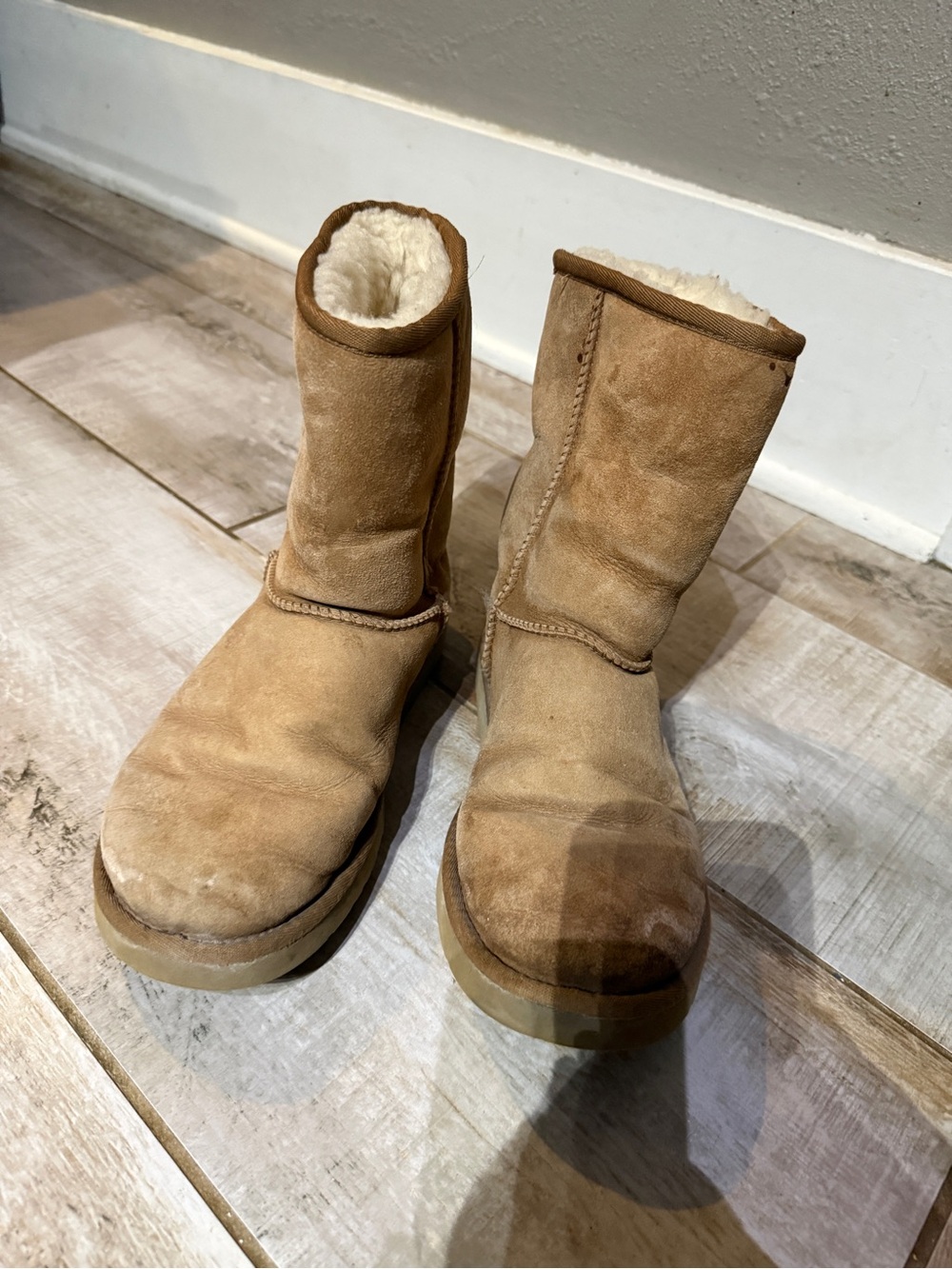UGG Australia’s Classic Short Boot- Size 7.